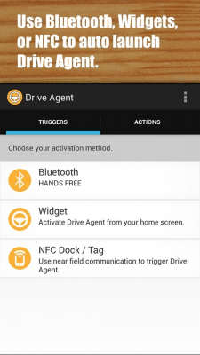 Screenshot of the application Drive Agent - #2