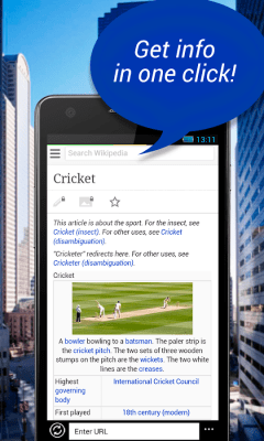 Screenshot of the application US Browser - #3
