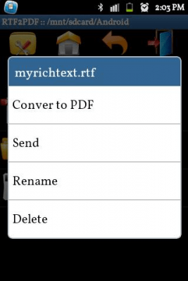 Screenshot of the application RTF to PDF Converter - #2