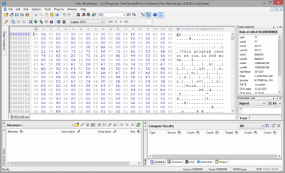Screenshot of the application Hex Workshop - #3