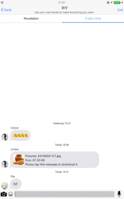Screenshot of the application Espier PrivChat - #5