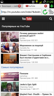Screenshot of the application Lime Browser 1 - #5