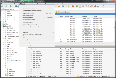 Screenshot of the application XYplorer Portable - #3