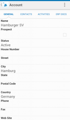 Screenshot of the application SAP Hybris Cloud for Customer - #3