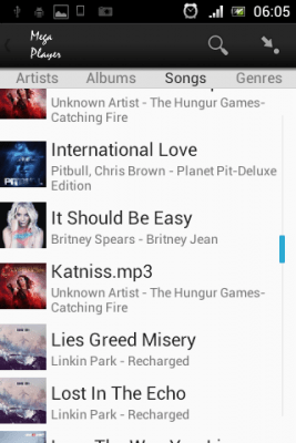 Screenshot of the application Mega Player - #3