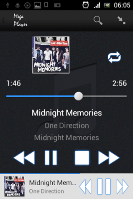 Screenshot of the application Mega Player - #4