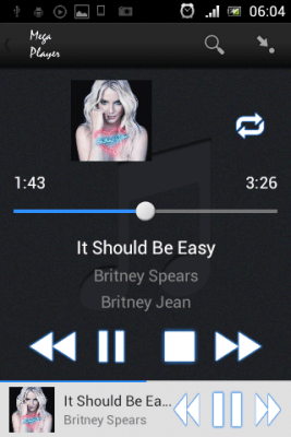 Screenshot of the application Mega Player - #5