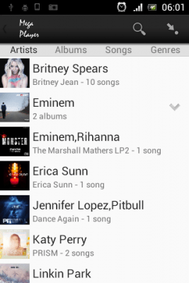 Screenshot of the application Mega Player - #6