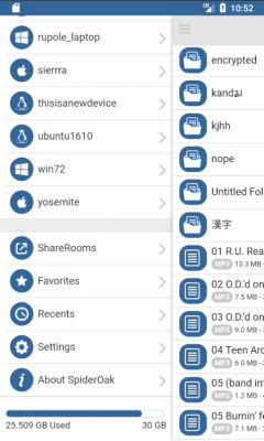 Screenshot of the application SpiderOakONE - #3
