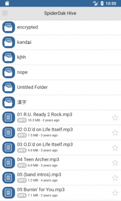 Screenshot of the application SpiderOakONE - #4
