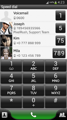 Screenshot of the application PP Theme – Classic Light - #7