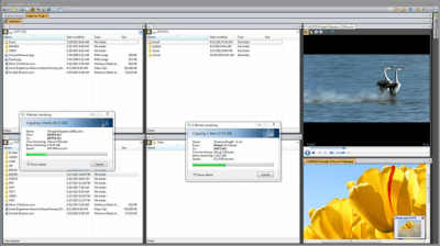 Screenshot of the application Vole Windows Expedition - #1