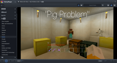 Screenshot of the application CherryPlayer Portable - #3