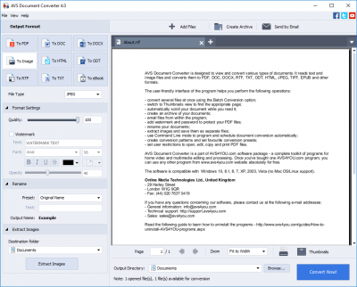 Screenshot of the application AVS Document Converter - #1