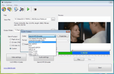 Screenshot of the application VidSplitter - #3