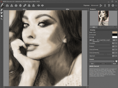 Screenshot of the application AKVIS Charcoal - #1