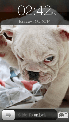 Screenshot of the application Dog Screen Lock - #6