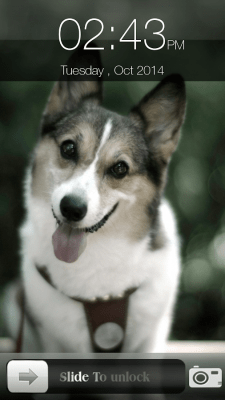 Screenshot of the application Dog Screen Lock - #9