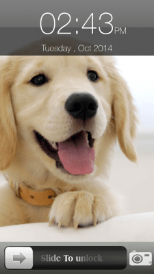 Screenshot of the application Dog Screen Lock - #10