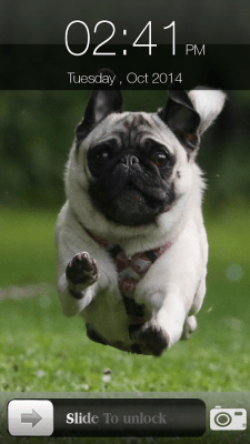 Screenshot of the application Dog Screen Lock - #11