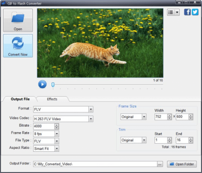 Screenshot of the application GIF to Flash Converter - #1