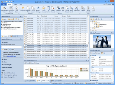 Screenshot of the application Duplicate File Detective - #1