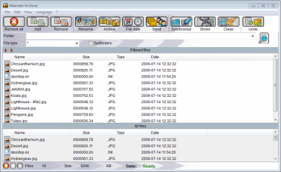 Screenshot of the application Alternate Archiver - #1
