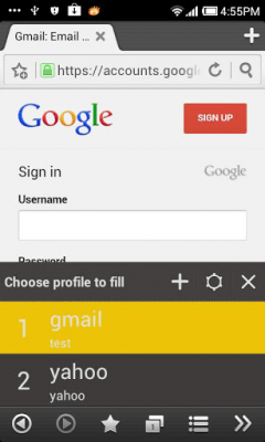 Screenshot of the application Boat Password Manager Add-on - #4