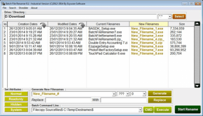 Screenshot of the application Batch File Renamer - #1