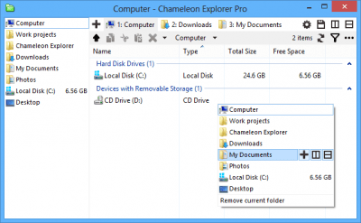 Screenshot of the application Chameleon Explorer - #1