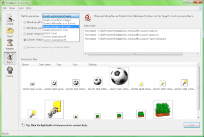 Screenshot of the application RealWorld Icon Editor - #1