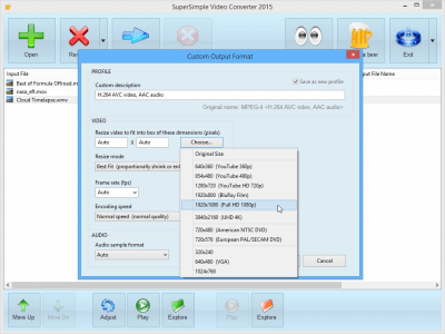 Screenshot of the application SuperSimple Video Converter - #2