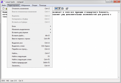 Screenshot of the application Metapad - #4