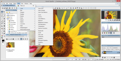 Screenshot of the application StylePix - #3