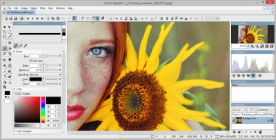 Screenshot of the application StylePix - #5
