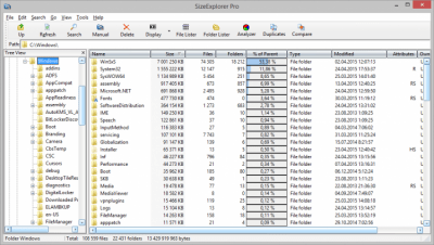 Screenshot of the application SizeExplorer Pro - #1