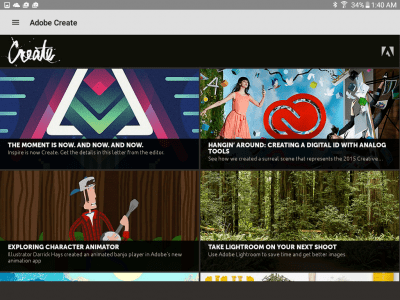 Screenshot of the application Adobe Inspire - #1