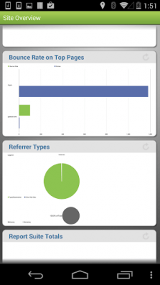 Screenshot of the application Adobe Analytics - #2