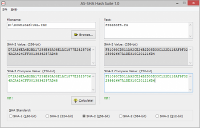 Screenshot of the application AS-SHA Hash Suite - #1