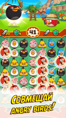 Screenshot of the application Angry Birds Fight! - #12
