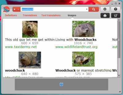 Screenshot of the application Dixio Desktop - #3