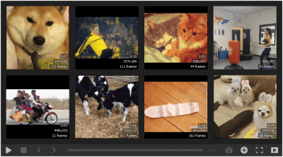 Screenshot of the application GIF Player - #1