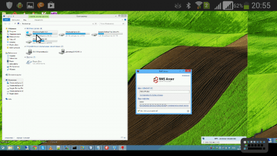 Screenshot of the application RMS Remote Access - #1