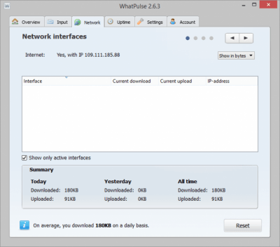 Screenshot of the application WhatPulse - #3