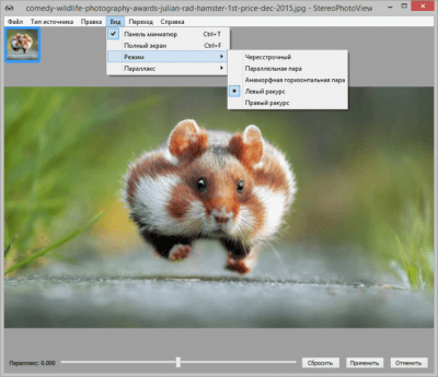 Screenshot of the application StereoPhotoView - #3