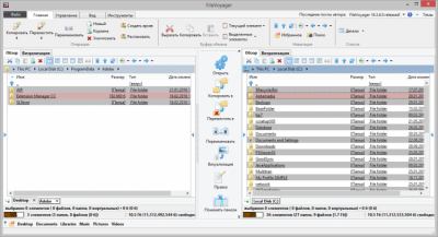 Screenshot of the application FileVoyager - #1