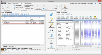 Screenshot of the application FileVoyager - #3