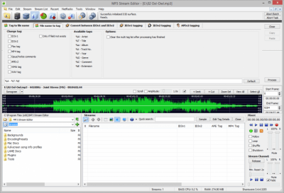Screenshot of the application MP3 Stream Editor - #3