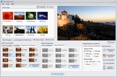 Screenshot of the application Mass Watermark - #3