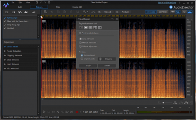 Screenshot of the application CyberLink AudioDirector - #4